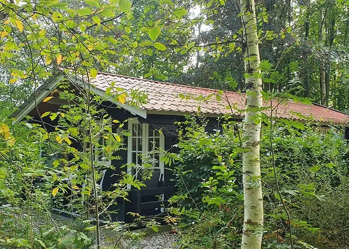 Zizania