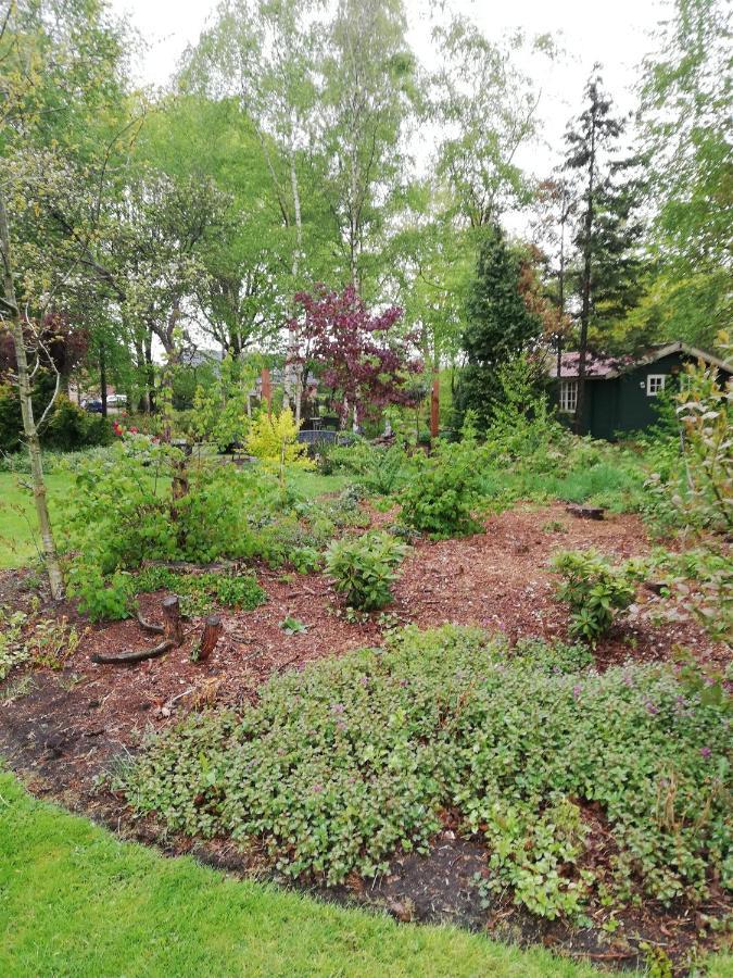 Zizania Holiday home Noord-Sleen