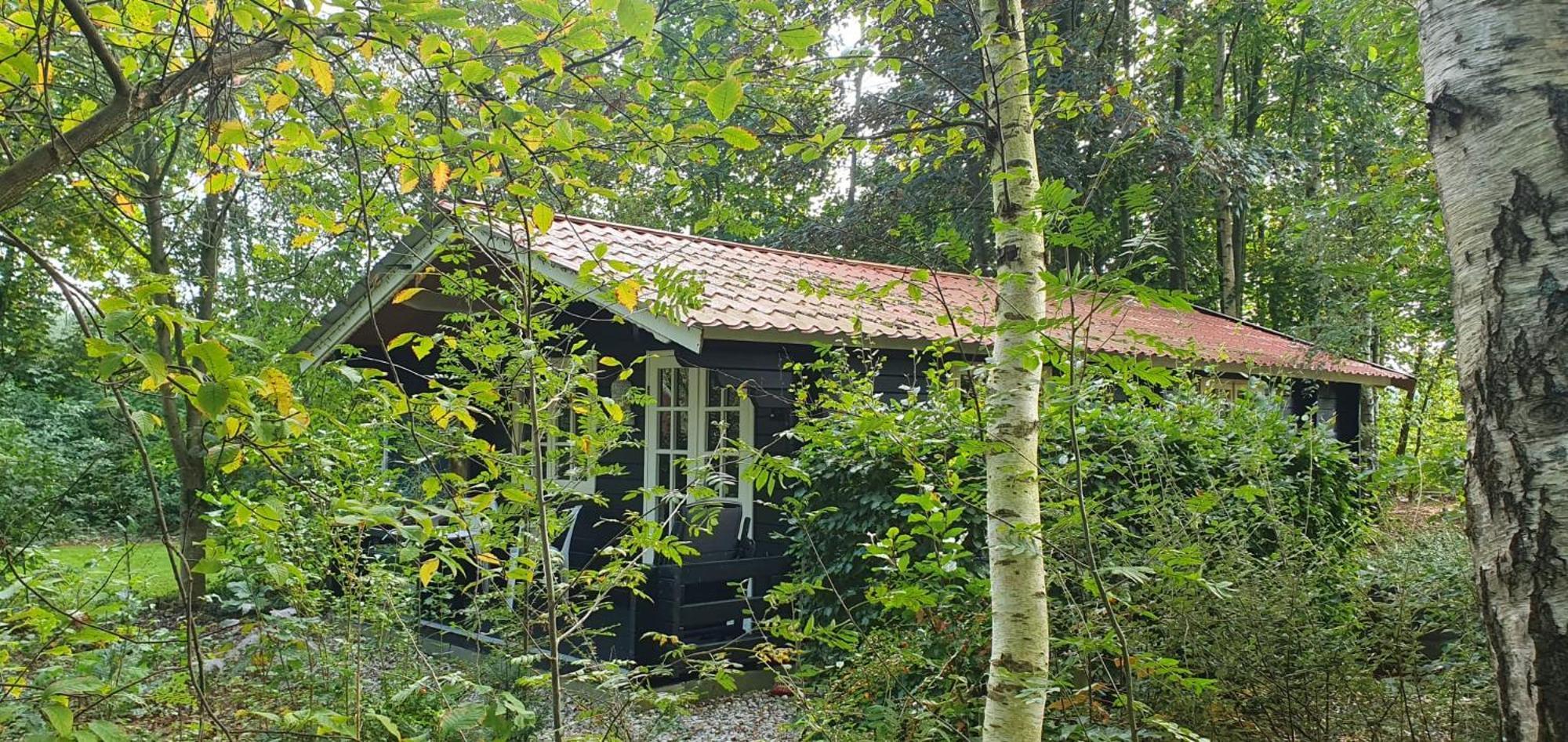 Holiday home Zizania Noord-Sleen