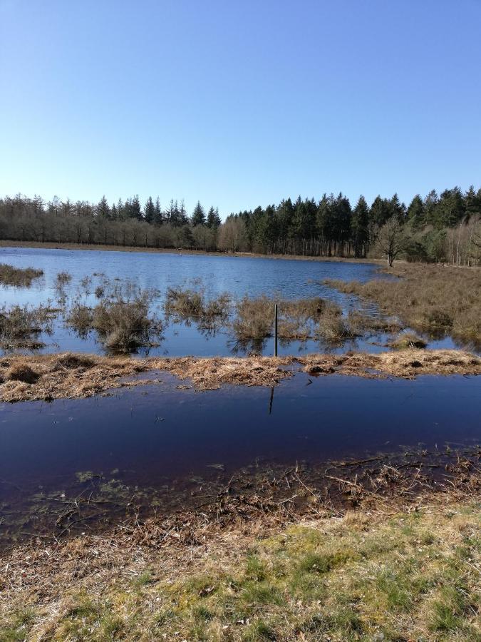 Vakantiehuis Zizania Noord-Sleen